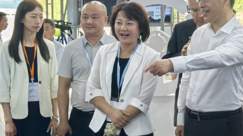 汽车改装件分类大全：揭秘汽配市场中的多元世界
